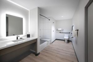 a bathroom with a sink and a toilet at Hotel Rose in Rockford