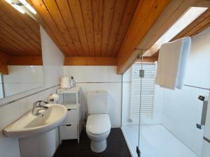 a bathroom with a toilet and a sink at Allotjaments Pirineus in Molló