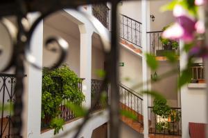 Balkón nebo terasa v ubytování Posada Kin