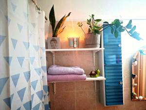 a bathroom with shelves with plants and towels at Nice relaxing apartment in Mandria, in Mandria