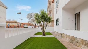 a courtyard with a palm tree in the middle of a building at Póvoa Studios by Pomerania in Póvoa de Varzim