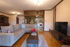 a living room with a couch and a tv at Alexandra Welcome Maxi Place in Kastoria