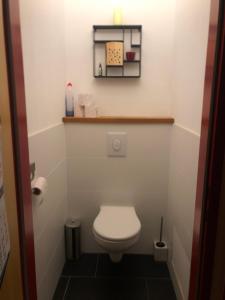 a small bathroom with a toilet and a shelf at Ferienwohnung Alexanderhof in Sankt Lambrecht +8 photos