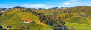 a house on top of a hill with trees at Ferienhaus Weingut Bauer in Gamlitz +5 photos