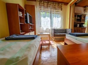 a living room with two beds and a couch at Holiday House Briški in Delnice