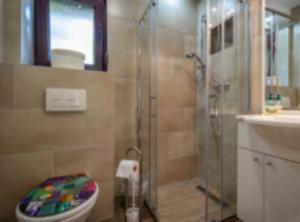 a bathroom with a shower and a toilet and a sink at Holiday House Briški in Delnice