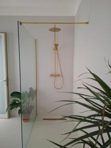 a glass door with a hanger and a plant at Casa Maria in Żabbar