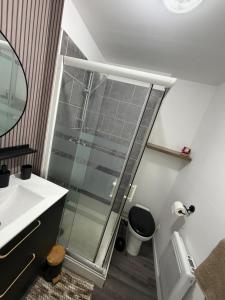 a bathroom with a shower and a sink at Petit appartement charmant in Lille