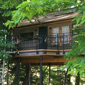 a tree house with a deck in the trees at Baumhaus auf dem Kellerberg in Fischach