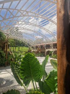 a greenhouse with a large green plant in it at Pousada Vila da Barra in Ilha de Boipeba