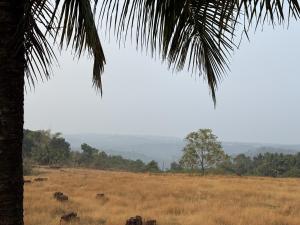 a field with elephants in a field with a palm tree at Golden Breeze Bekal in Bedadka