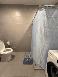 a bathroom with a toilet and a shower curtain at Nino's Home in Bakuriani +13 photos