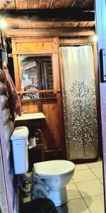 a bathroom with a toilet and a shower at La Posada de Daro in Cacheuta