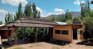 a small hut with a thatched roof in a field at La Posada de Daro in Cacheuta