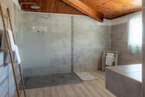 a bathroom with a shower and a sink and a counter at Résidence tamarin in Rivière