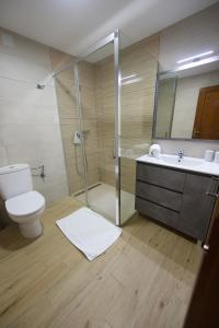 a bathroom with a shower and a toilet and a sink at Apartamento turísticos ilusiones 1 in Cazalla de la Sierra