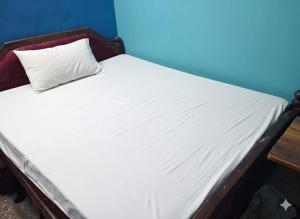 a bed with a white pillow on top of it at Joyful Homestay in Mysore