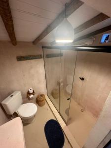 a bathroom with a toilet and a glass shower at Hostel Tainha Caraíva in Caraíva