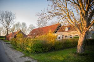 a house with a red roof next to a street at Bed & Breakfast De Tol in Sint Annaland