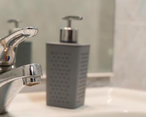 a soap dispenser sitting on top of a bathroom sink at Castello Living in Turin +19 photos