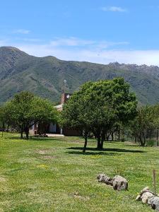 a field with trees and a house with mountains in the background at La Porteña in Cortaderas +1 photo
