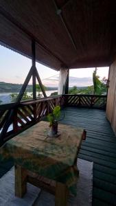 a wooden table with a plant on a balcony at Cabaña Agustina in El Soberbio