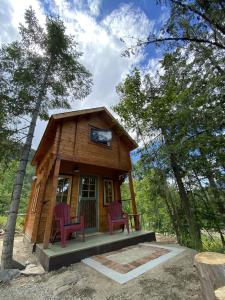 a tiny house in the woods with two red chairs at Boho Bungalow in Nelson