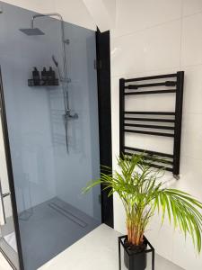 a shower with a glass door and a plant in a bathroom at MICKIEWICZ HOUSE Apartamenty in Wadowice
