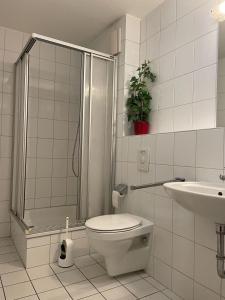 a bathroom with a shower and a toilet and a sink at Hafenidylle-Orth-auf-Fehmarn in Orth +13 photos