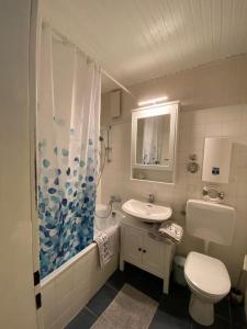 a bathroom with a shower and a toilet and a sink at Kaept-ns-Inn in Burgtiefe auf Fehmarn  +14 photos