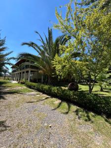 a building with palm trees and a gravel driveway at Hotel Parcela Tierra Fértil in Coltauco