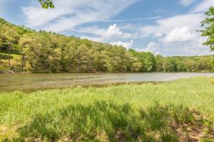 a view of a river with grass and trees at Bracken Lodge by Railey Vacations in Swanton