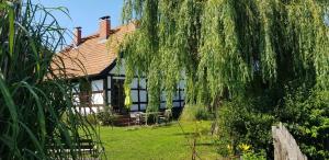 a house with a weeping willow tree in front of it at Fischerhaus Godewind 60 qm in Altwarp