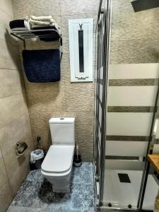 a small bathroom with a toilet and a shower at AEROPUERTO BARCELONA -Mi colibrí in El Prat de Llobregat