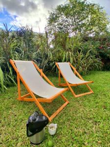 two lounge chairs sitting on the grass in a yard at ESPACIO MINGA, casa quinta en la ciudad, hasta 8 personas in Corrientes +15 photos
