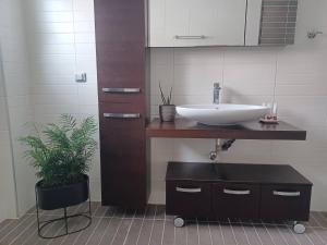 a bathroom with a sink and a potted plant at Stargaze Apartment with Sea View by MindYourVilla in Zakynthos