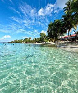 a beach with crystal clear water and palm trees at Golden palm in Rivière-Pilote
