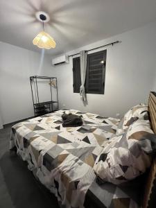 a bedroom with a bed and a ceiling fan at Golden palm in Rivière-Pilote +12 photos
