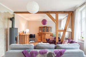 a living room with two couches and a fireplace at Elbferienhaus Lenzerwische - gemeinsames Urlauben an der Elbe mit privaten Badesee - alles inklusive in Lenzerwische +26 photos