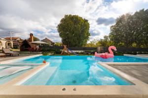 a swimming pool with a pink flamingo in the water at My Dalmatia - Apartment Neda with shared pool in Galovac