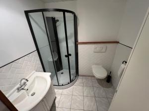 a bathroom with a shower and a sink and a toilet at T1-bis Central Blagnac in Blagnac