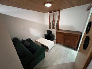 a living room with a green couch and a table at T1-bis Central Blagnac in Blagnac