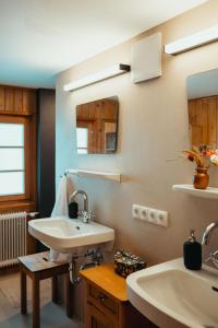 a bathroom with a sink and a mirror at Hus Sigritta in Vandans