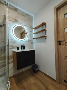 a bathroom with a sink and a mirror at Mieszkanie Janowice in Janowice Wielkie +12 photos