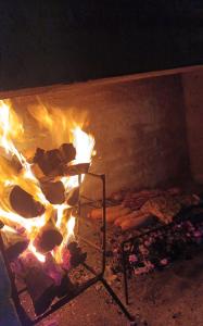a fire in a brick oven with food in it at Petrel in La Paloma