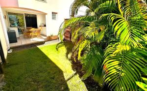a house with a palm tree in the yard at Ti Turtle in Saint-François