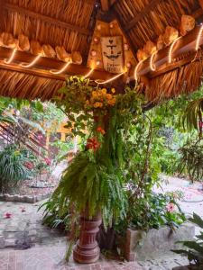 a plant in a vase in a garden with a clock at Casa Amelia in San Blas