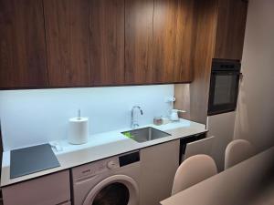 a kitchen with a washing machine and a sink at Sky Nest Kopaonik in Kopaonik