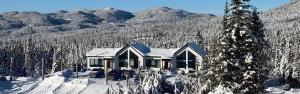 a house in the snow with mountains in the background at NOvO Chalet in Saint-David-de-Falardeau