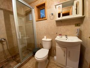 a bathroom with a toilet and a sink and a shower at Cabañas Antonia in Futaleufú